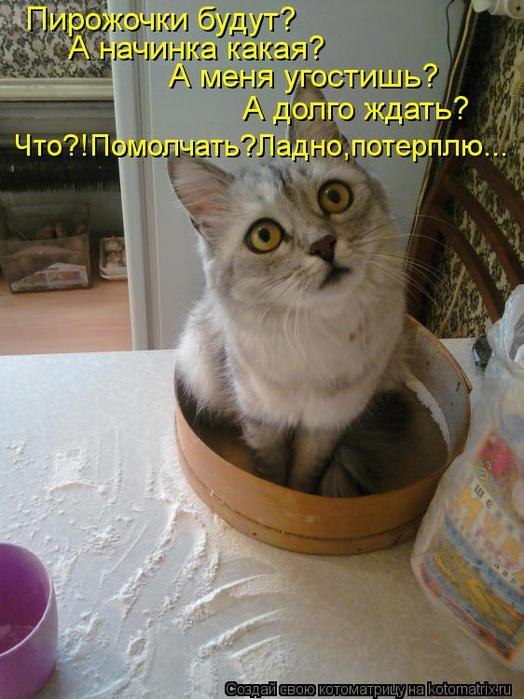 Артур Дорохин | Чернигов