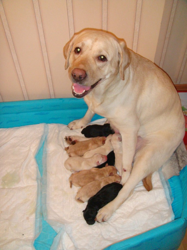 Алла Ивченко | Екатеринбург