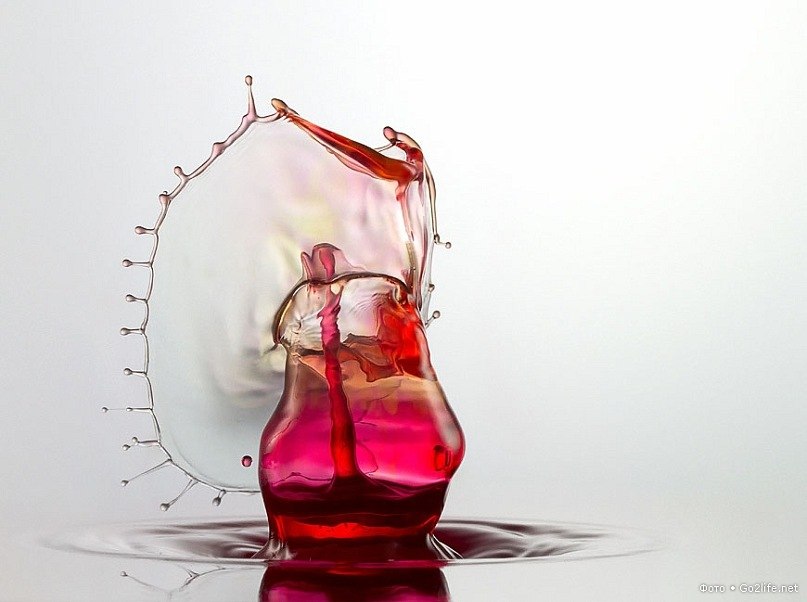 Ольга Галустян | Одесса