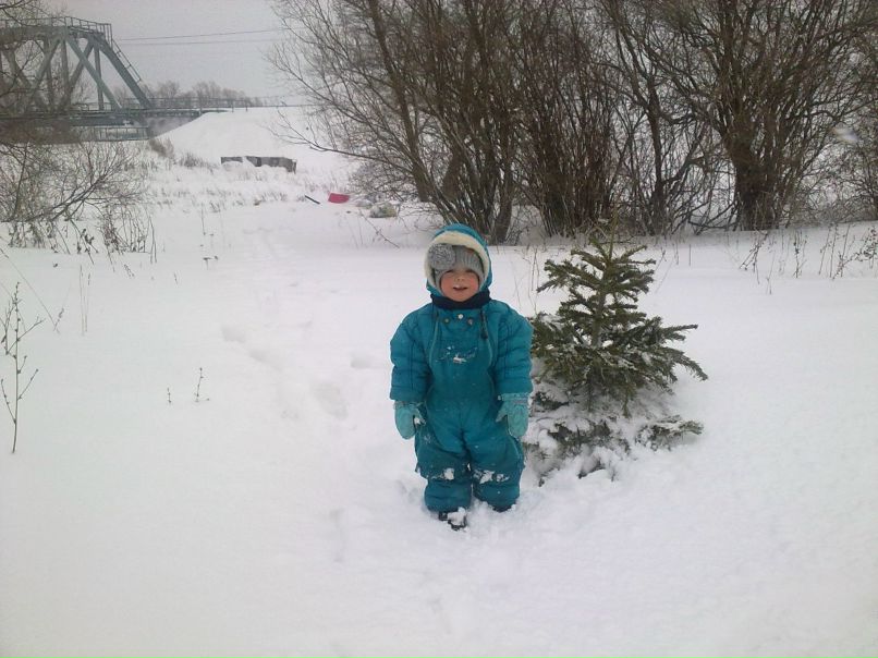 Павлуха Животнев | Дудино