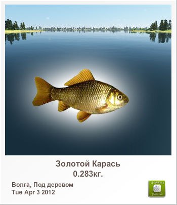 Ярослав Хамдиев | Сургут