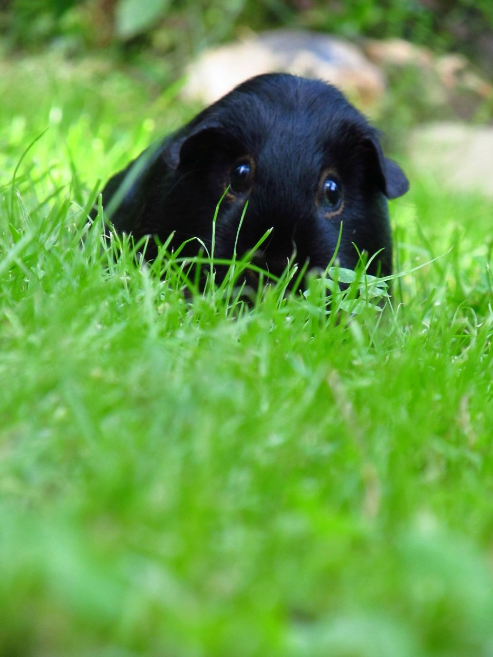 Дарья Алиева | Москва