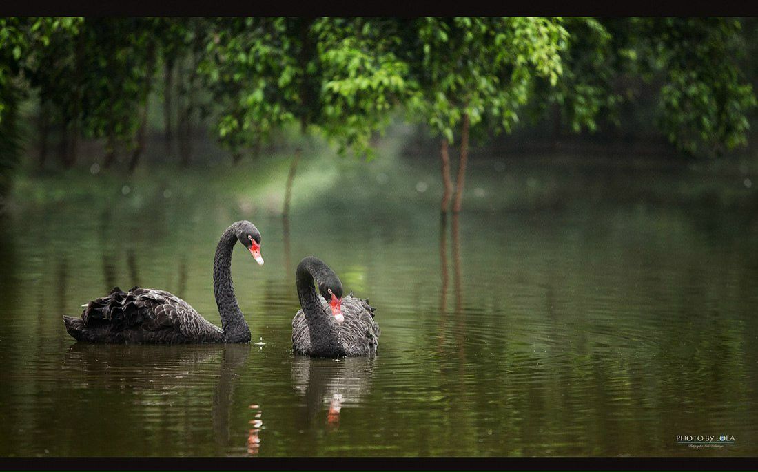 Юлия Вовк | Нижний Новгород
