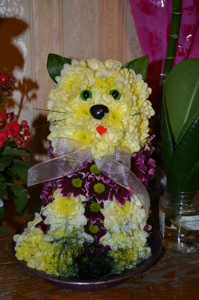 Елена Нестерова 埃莱娜 | Санкт-Петербург