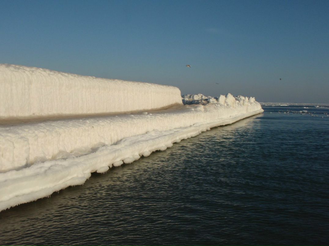 Alexandra Deparma | Москва
