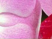 Виктория Гайдай ∆•Ђpűĸ•∆ | Санкт-Петербург