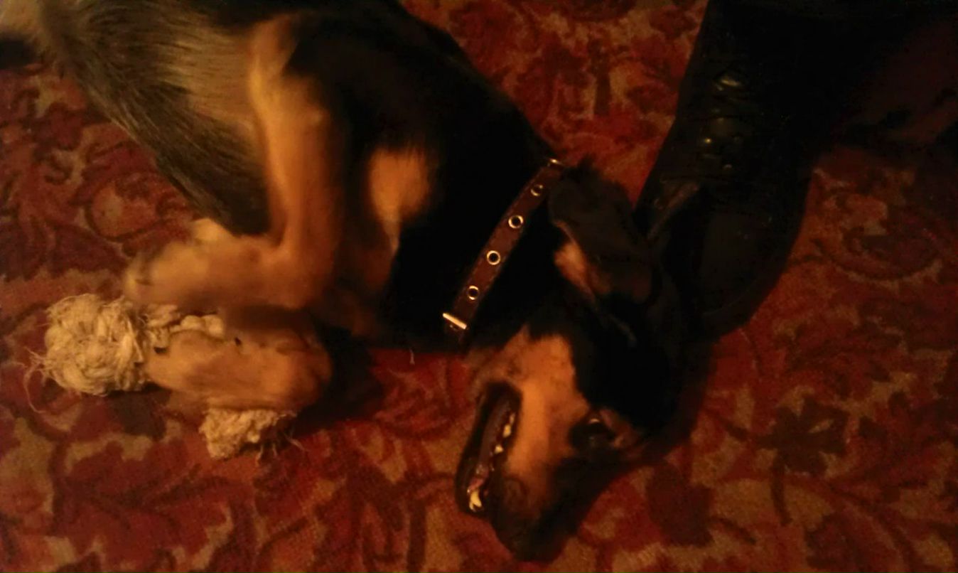 Кирилл Семенов | Москва