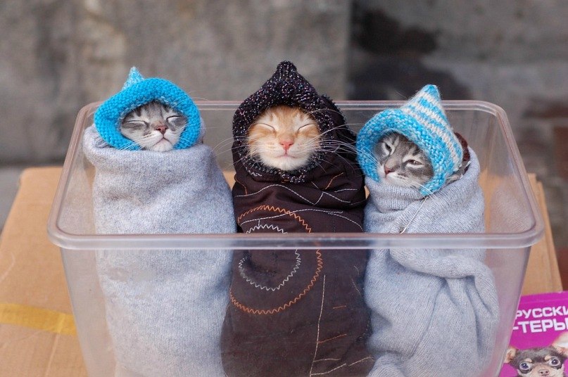 Оля Куприй | Днепр (Днепропетровск)