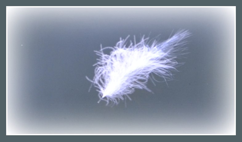 Лариса Старовойт | 