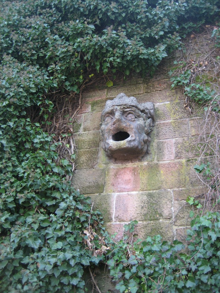 Тамара Тунёва | Roma