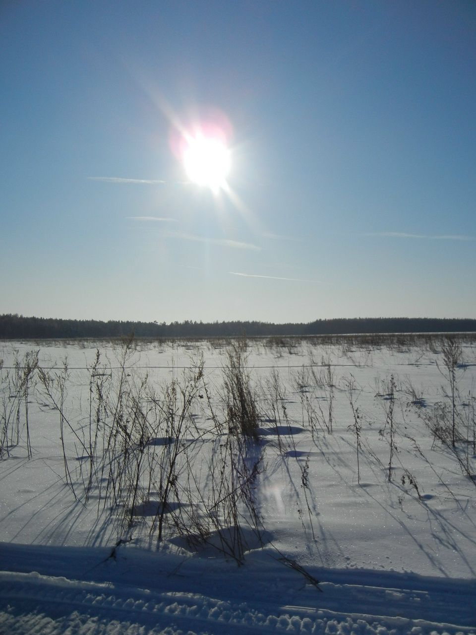 Виктор Кудряков 