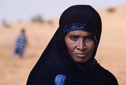 Илья Воксел | 