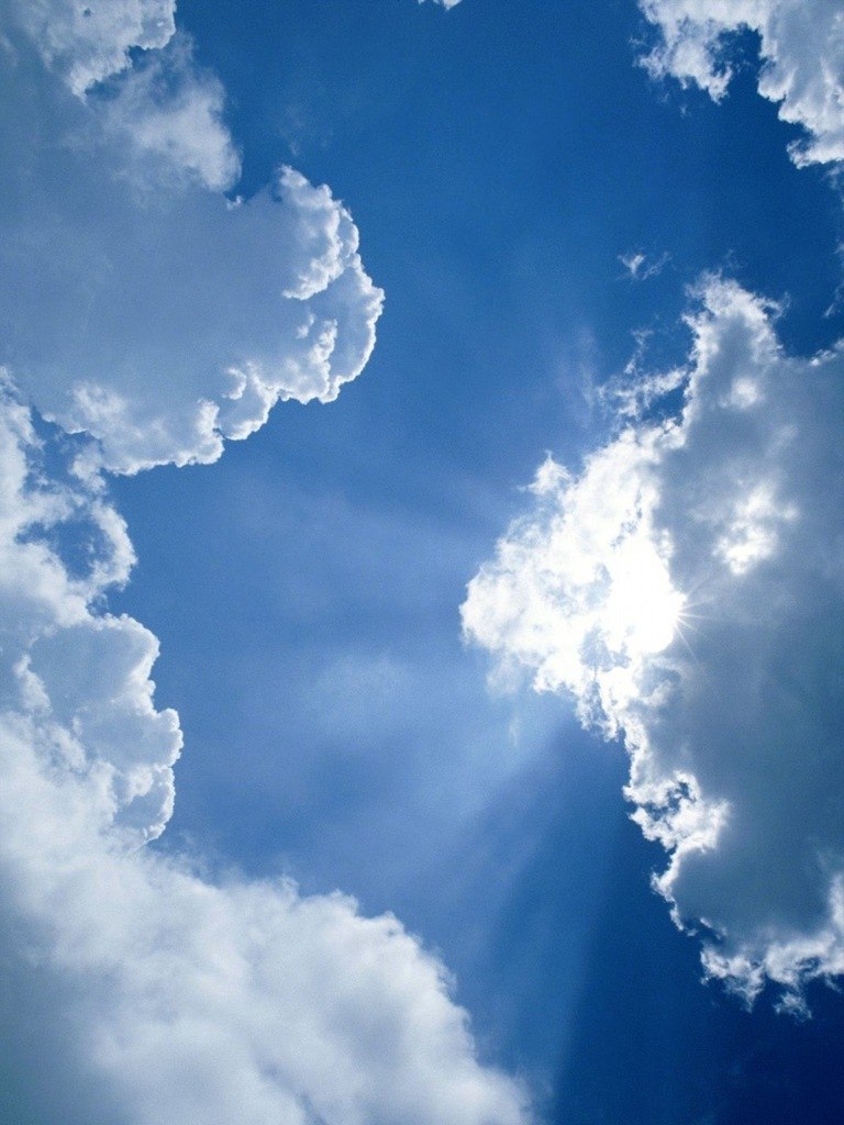 Света Виршилас | Кропивницкий / Кировоград