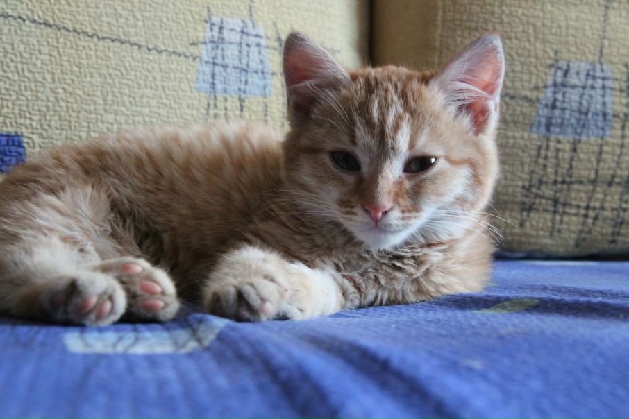 №12, Людмила Леолько, Орск №12, Людмила Леолько, Орск