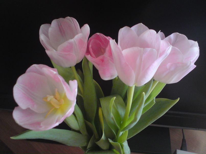 Ирина Климасёва | Санкт-Петербург