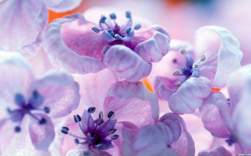 Алёна Дубницкая | Казань