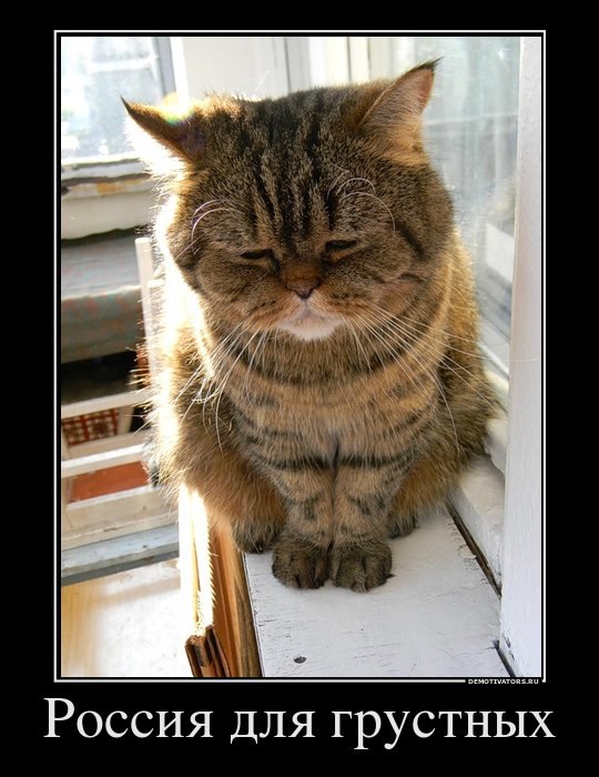 Дмитрий Сорокин | Санкт-Петербург