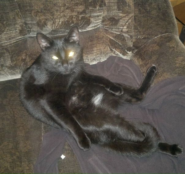 №67, Наталья Енина, 44 года, Петрозаводск, Россия №67, Наталья Енина, 44 года, Петрозаводск, Россия