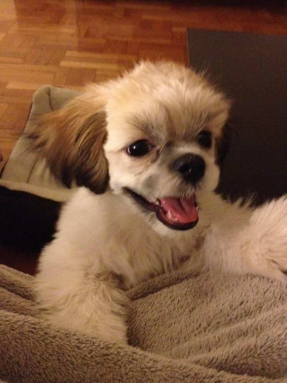 Лидия Селиванова *МеЛкий* | New York City