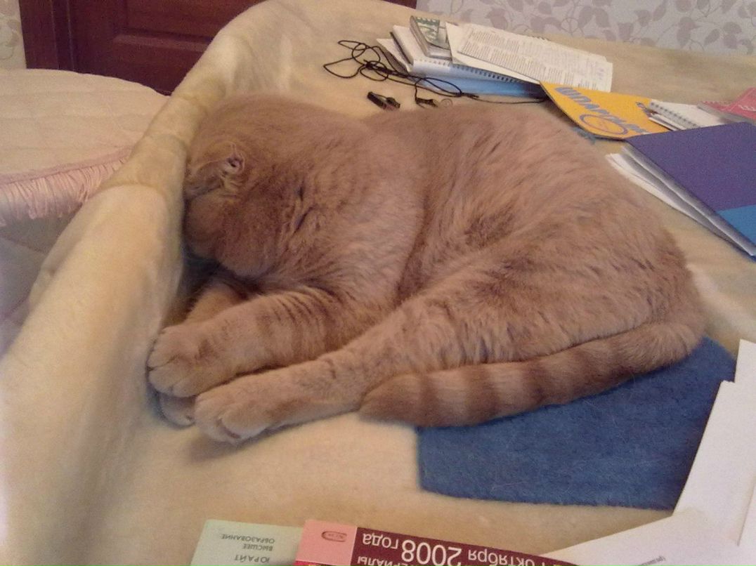 Алана Загидуллина | Черкесск