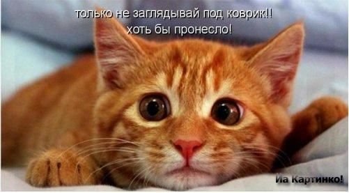 №14, Лия Неизвестная, 45 лет, Ставрополь, Россия №14, Лия Неизвестная, 45 лет, Ставрополь, Россия