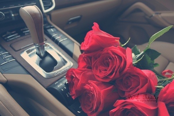 Ксения Сурова | Хмельницкий