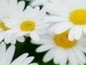 Анастасия Машкова | Москва