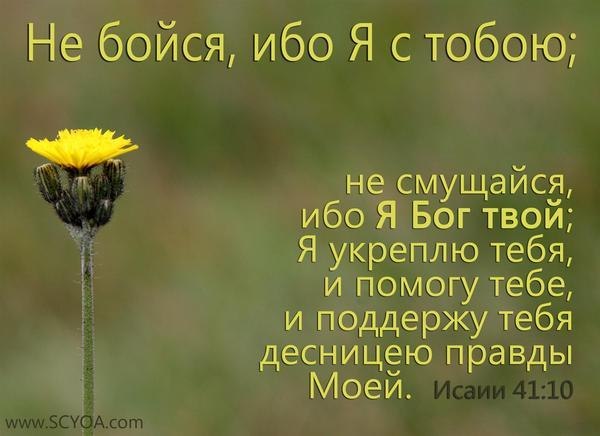 Владимир Швец | 