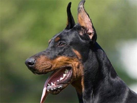 №138, Евгения Платова, Самара №138, Евгения Платова, Самара