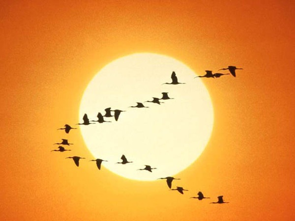 №87, Виталий Николаевич, Владивосток №87, Виталий Николаевич, Владивосток