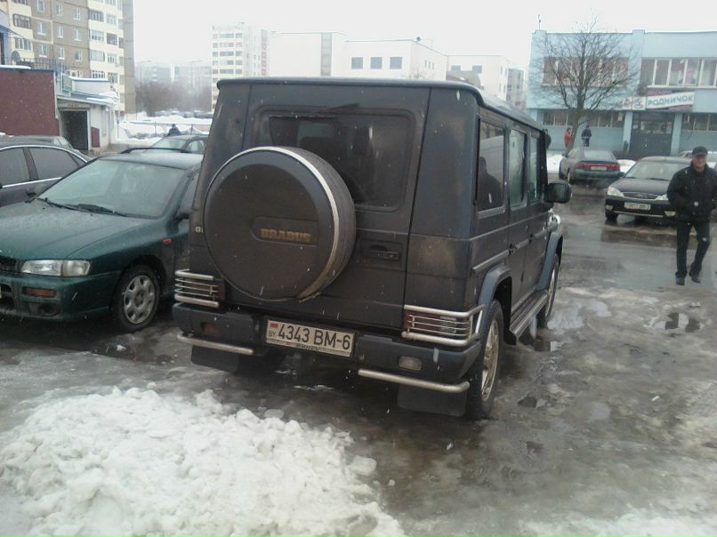 Евгений Авсеенков |PrIcKlY  HeDgeHoG|ᒙ | Могилёв