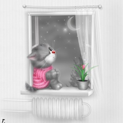 Анастасия Фоменок | Пермь