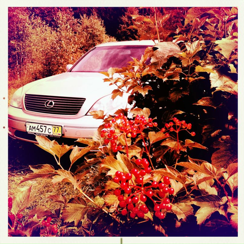 Тимур Савин | Москва