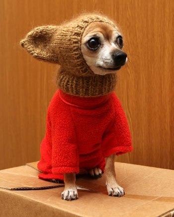 Али Таха | Киев