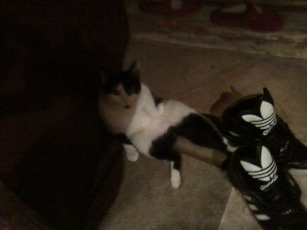 Андрей Парфёнов | 