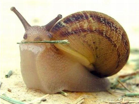 Никита Звонарёв | 