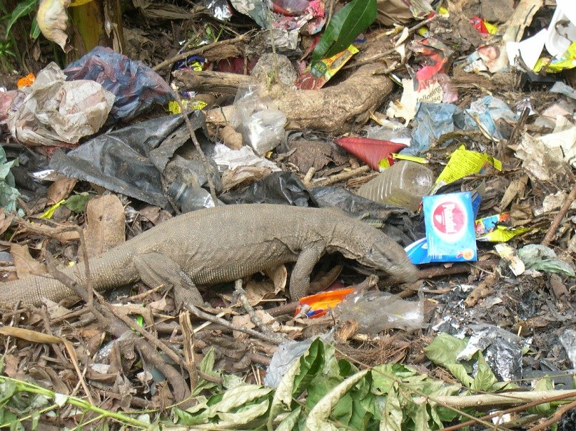 Татьяна Фиалковская | Москва