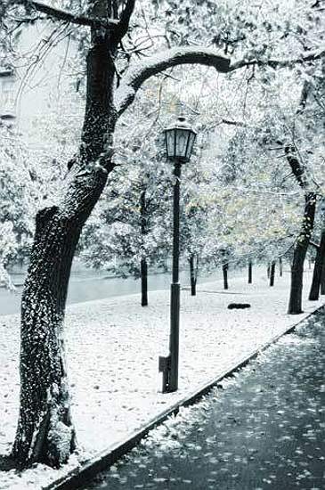 №48, Пуонг Ли, 28 лет, Сочи №48, Пуонг Ли, 28 лет, Сочи