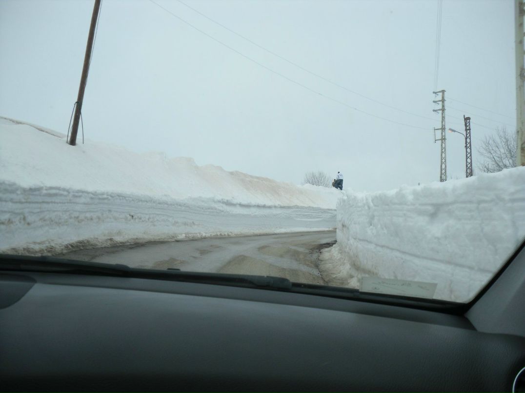 Alina Simonova | Сумы