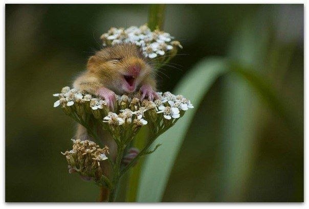 Яна Лазарева | Казань