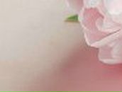 Людмила Хома | Нововолынск