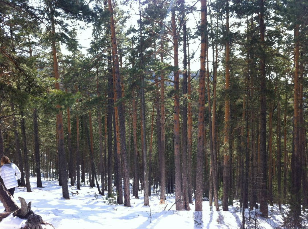 Александр Сурков ПРОФЕССОР | Москва