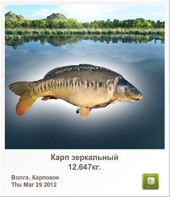 Какойто Лёха | Одесса