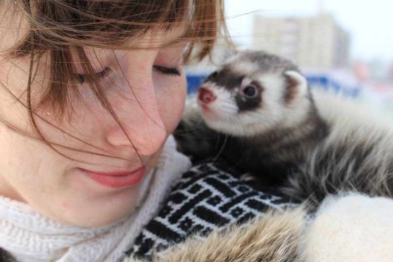 Наташа Соловьева | Ярославль