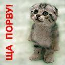 Алексей Митрофанов | Псков