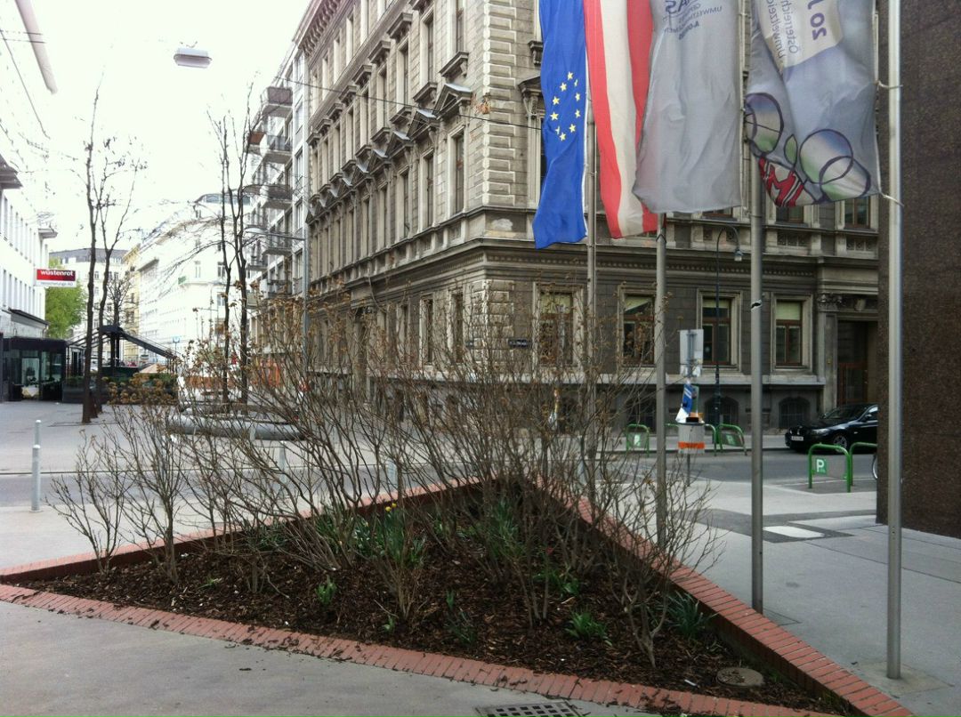 Igor Osincev | Praha