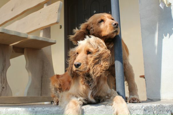 №151, Юля Тесля, Киев №151, Юля Тесля, Киев