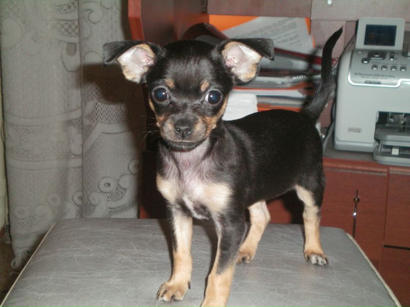 Наталья Демидова | Тюмень