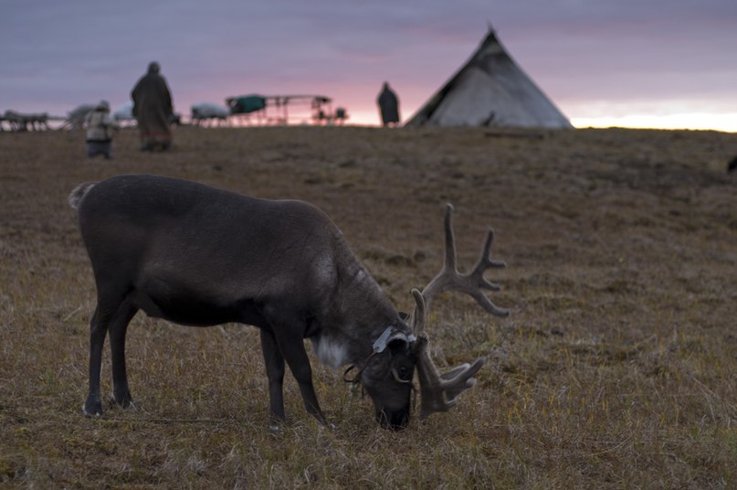 Алексей Бондаренко | Донецк
