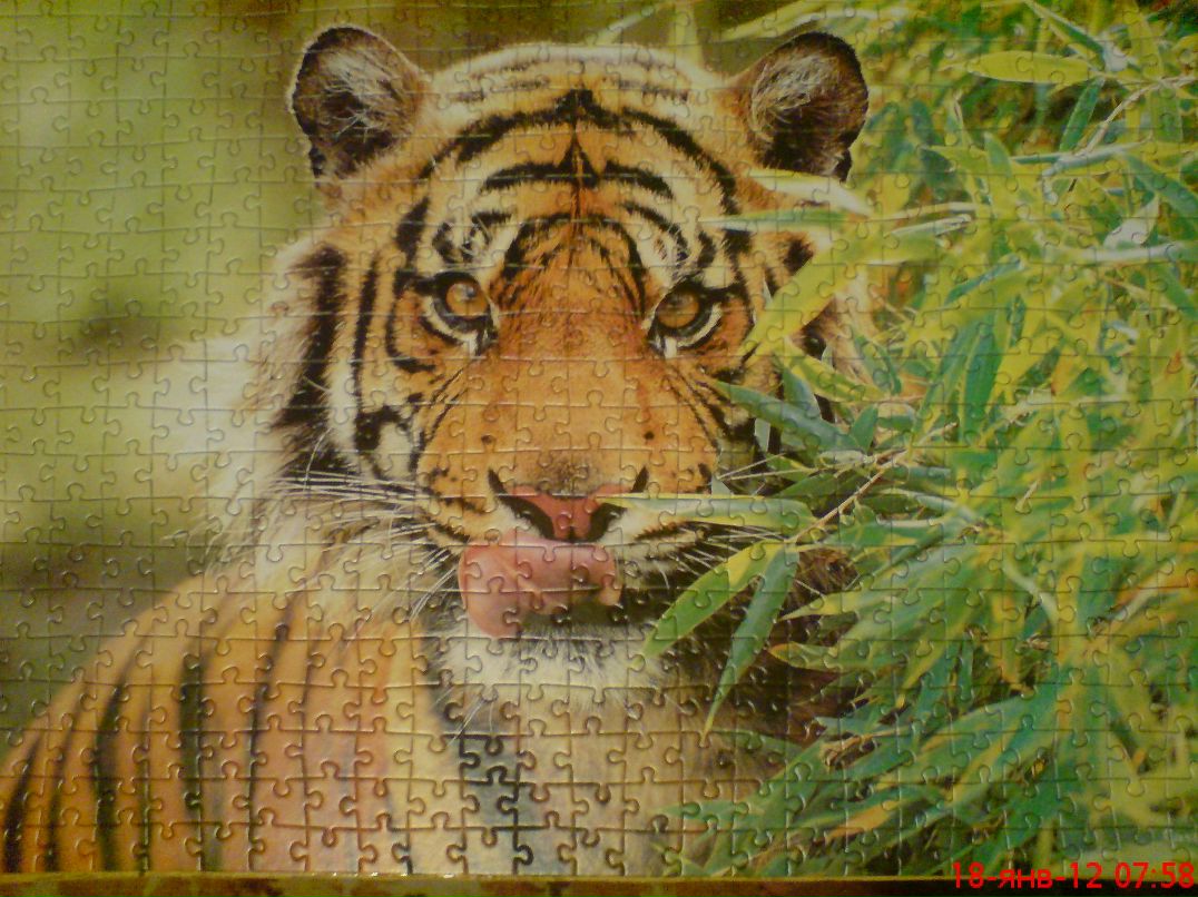 Константин Бынзарь | Красноярск